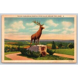Postcard Massachusetts Mohawk Trail Elk Overlooking Deerfield River Valley 1940s